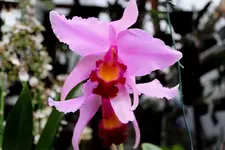 IMG_3634 - Kopie.webp