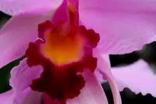 IMG_3635 - Kopie.webp