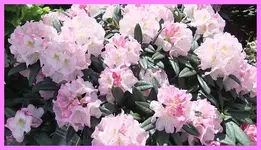 029.webp