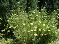 div.Bilder 079_Bildgröße ändern.webp