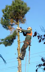DSCN0256.webp