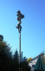 DSCN0263.webp
