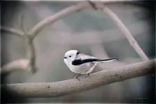 blog_SAM_6101.webp