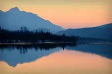 drau.webp