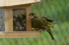 DSCN5706.webp