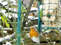 DSCN6901.webp