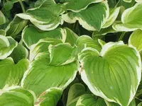 Bilda 0142.webp