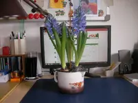 SANY0007.webp