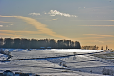 DSC_3529.webp