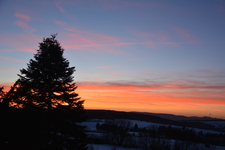 DSC_3553.webp