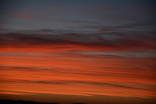 DSC_3555.webp