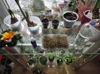 DSCN3799.2.webp