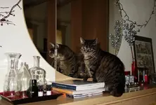 ktznptz (9).webp