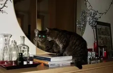 ktznptz (1).webp