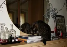 ktznptz (3).webp