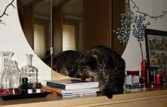 ktznptz (4).webp