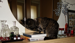 ktznptz (5).webp