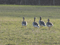 P1270616.webp