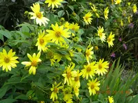 DSCN0833.webp