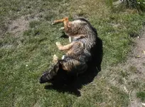 Bild279.webp