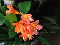 013.webp