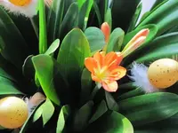 005.webp