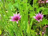 DSCN8348.webp