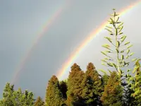 Copy of IMG_5519v.webp
