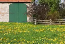 green (11).webp