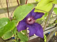 043.webp