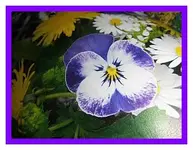 019.webp