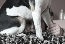 Halte Dich fest.webp Halte Dich fest.webp