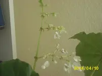 Bild 001.webp