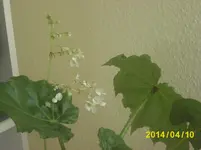 Bild 002.webp