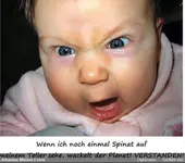 Spinat.webp