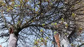 014.webp