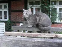 CIMG0331.webp