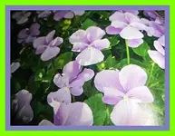 016.webp