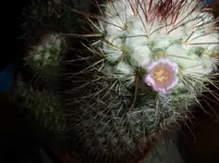 P1270772.webp