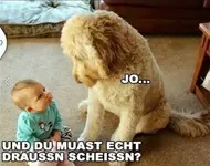 Drausen.webp
