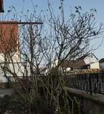 DSC06728.webp