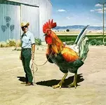 riesehuhn.webp