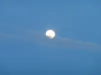 P1270462.webp