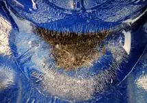 blue (49).webp