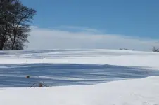 DSCF0093.webp