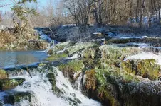 DSCF0069 (2).webp