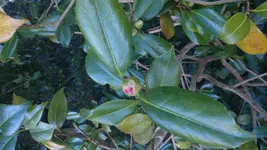 IMG-20150214-WA0008.webp