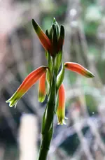 DSCN7037.webp