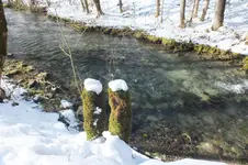 DSCF0082.webp