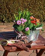 Gartensaison 2015 eröffnet_800.webp